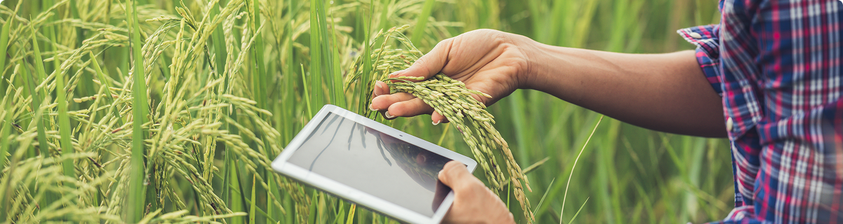 Agriculture omics