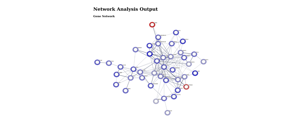 Identification of gene networks and hubs enriched in each subtype