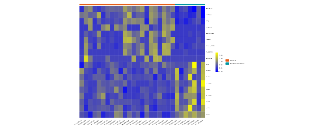 Heatmap